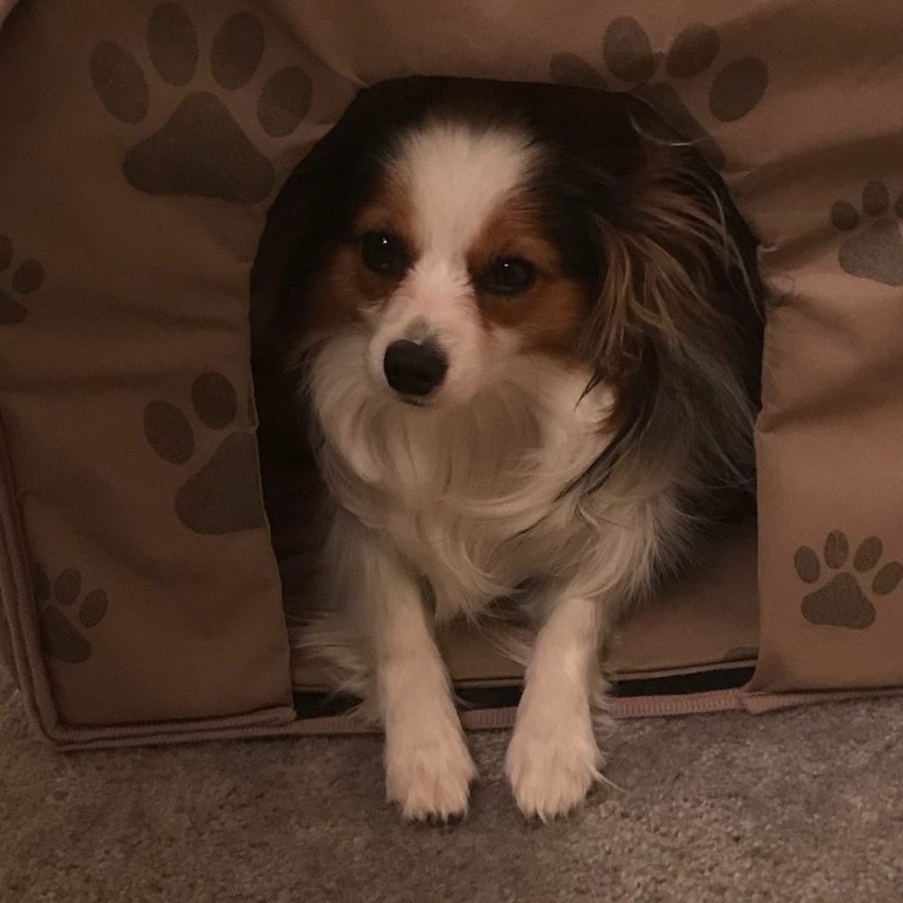 Meet your Posher, Wendy